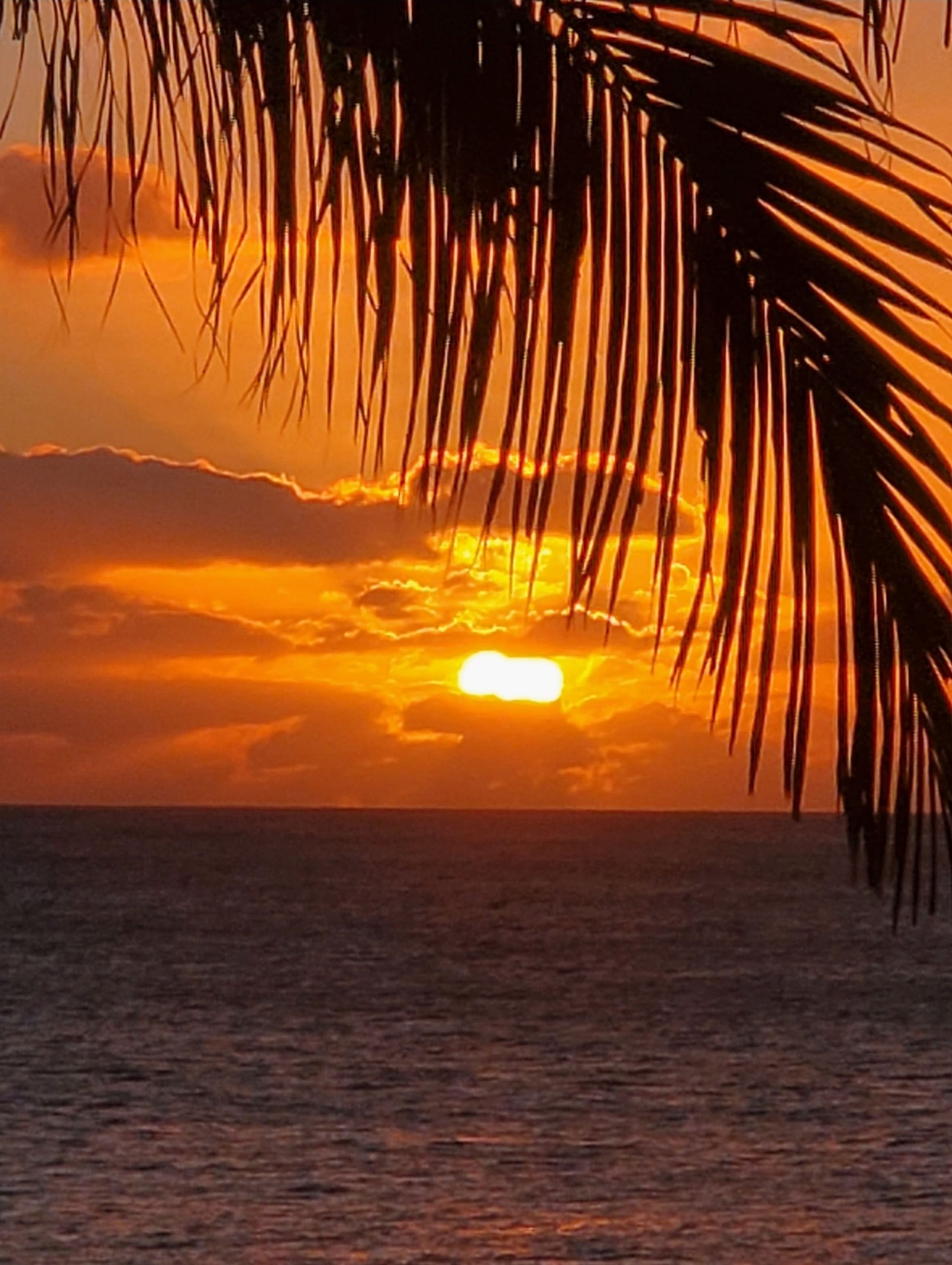 Home in Koloa · ★5.0 · 3 bedrooms · 3 beds · 3 baths - Image 67