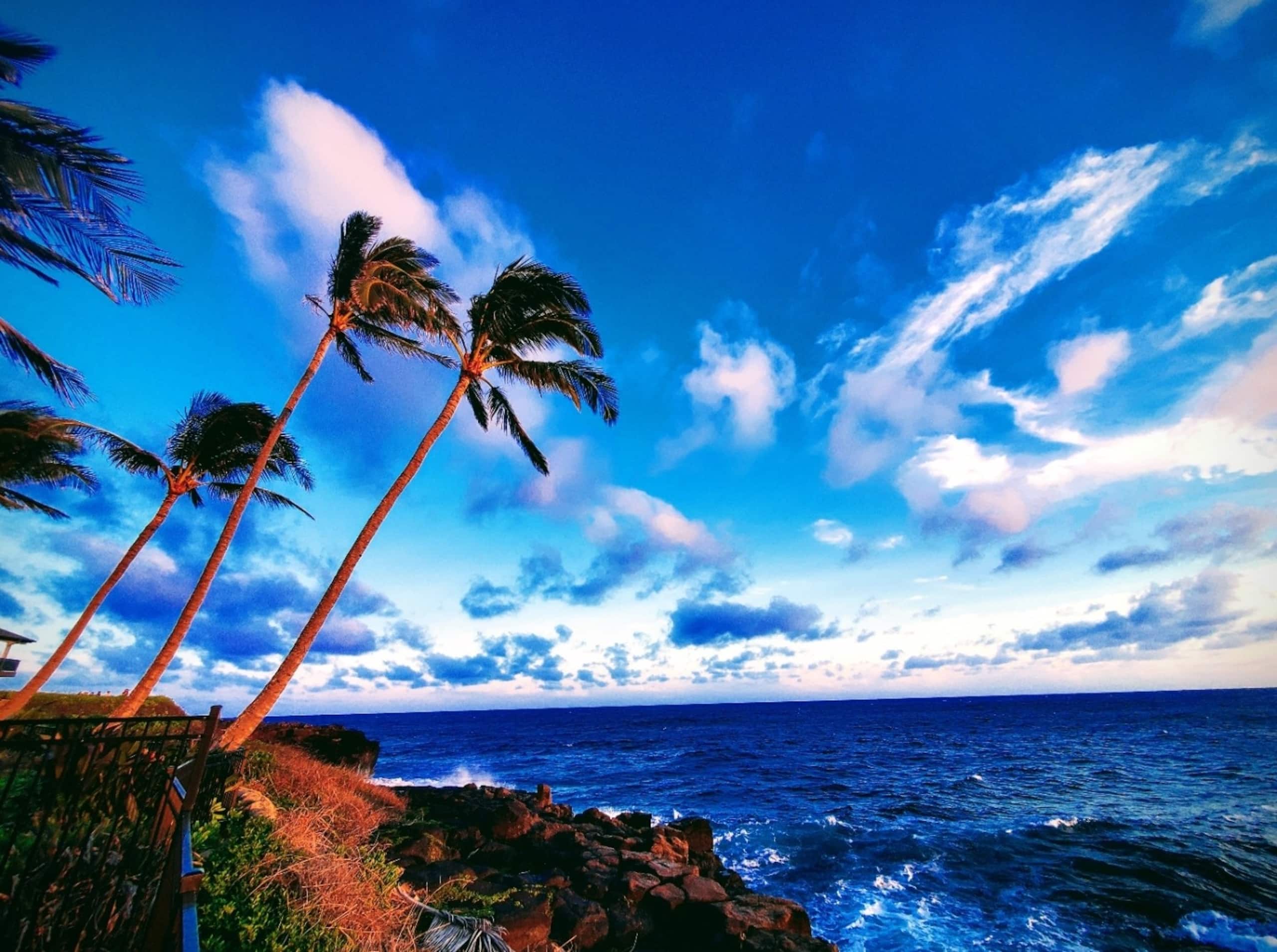 Home in Koloa · ★5.0 · 3 bedrooms · 3 beds · 3 baths - Image 74