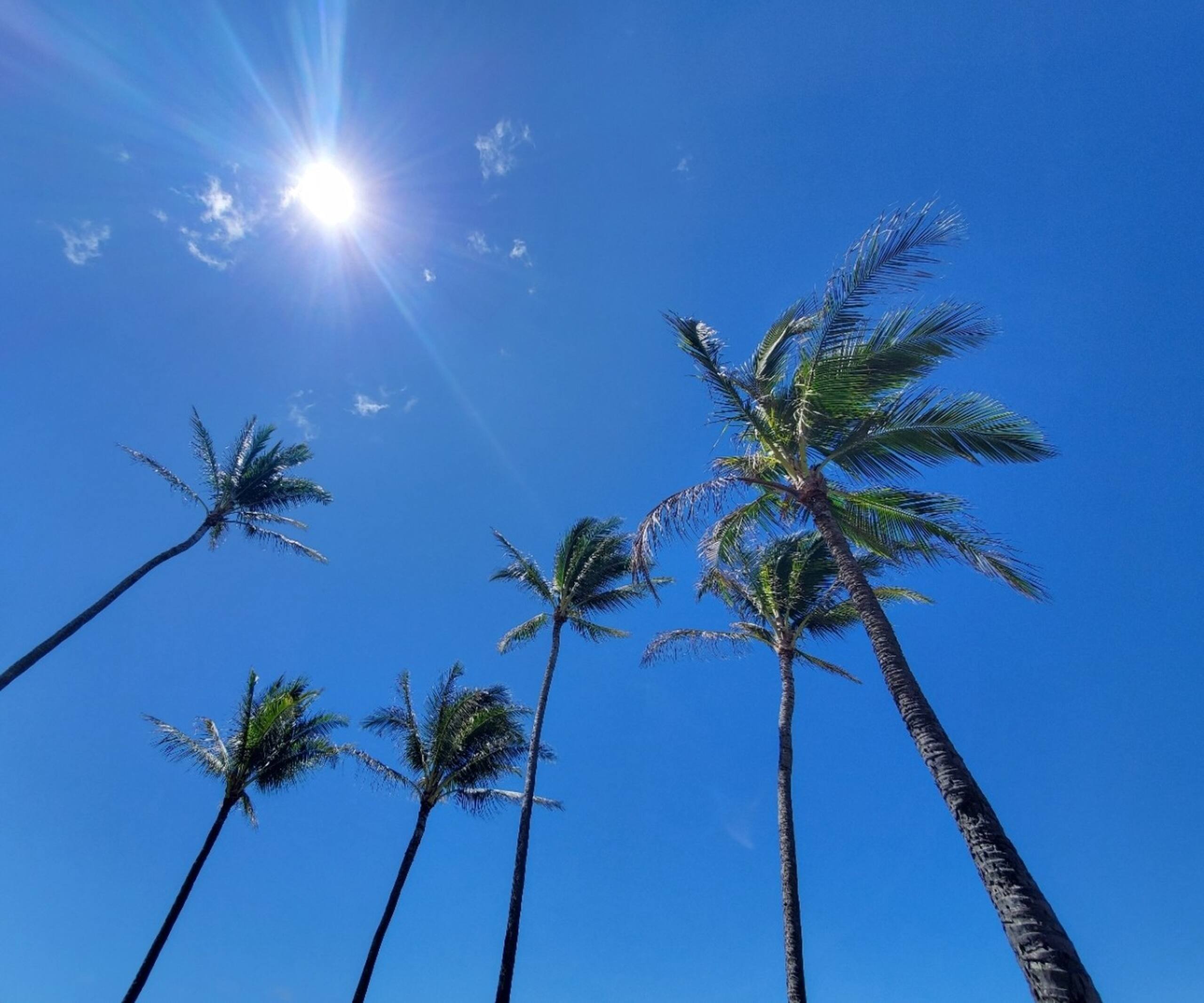 Home in Koloa · ★5.0 · 3 bedrooms · 3 beds · 3 baths - Image 77