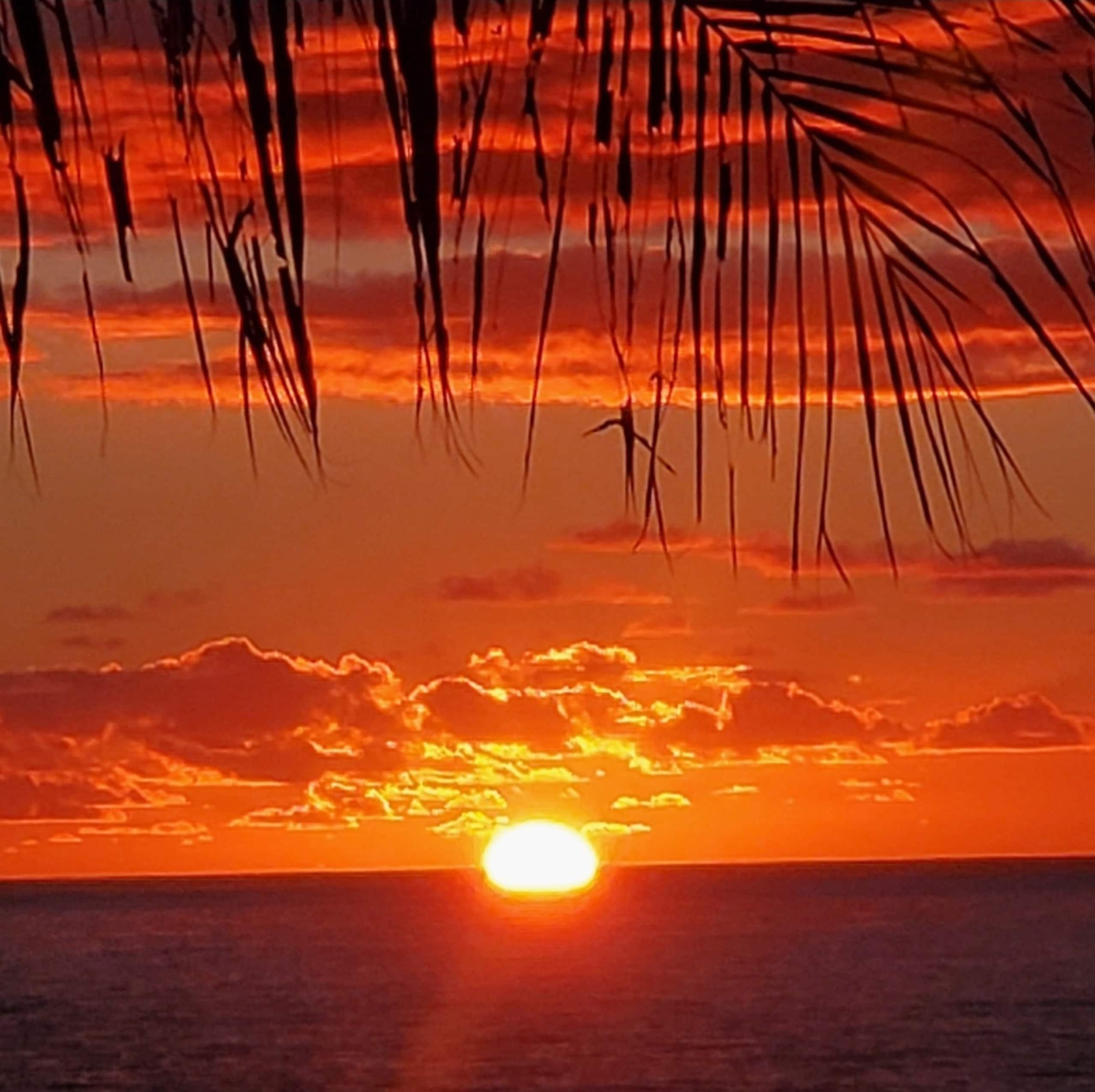 Home in Koloa · ★5.0 · 3 bedrooms · 3 beds · 3 baths - Image 91