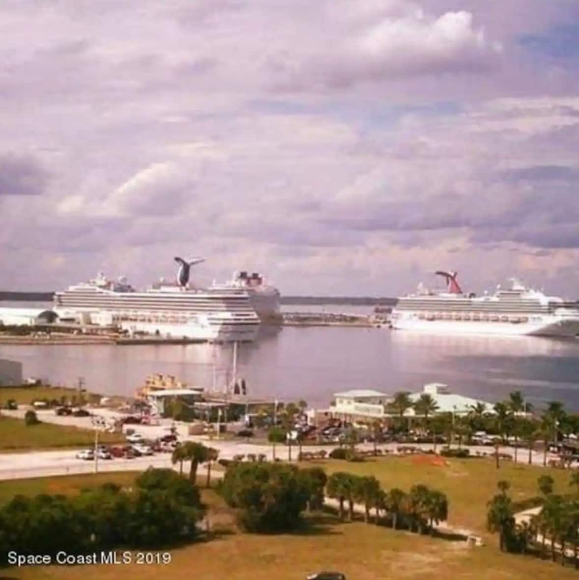 Two large cruise ships are docked in the harbor, surrounded by water. A bright sky with scattered clouds is visible above, and palm trees can be seen lining the shore. In the foreground, grassy areas and a few buildings are present, adding to the coastal scenery.