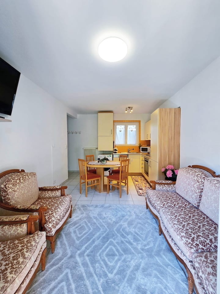 Casa Orange 50 Mt Dalla Stazione - Bellinzona