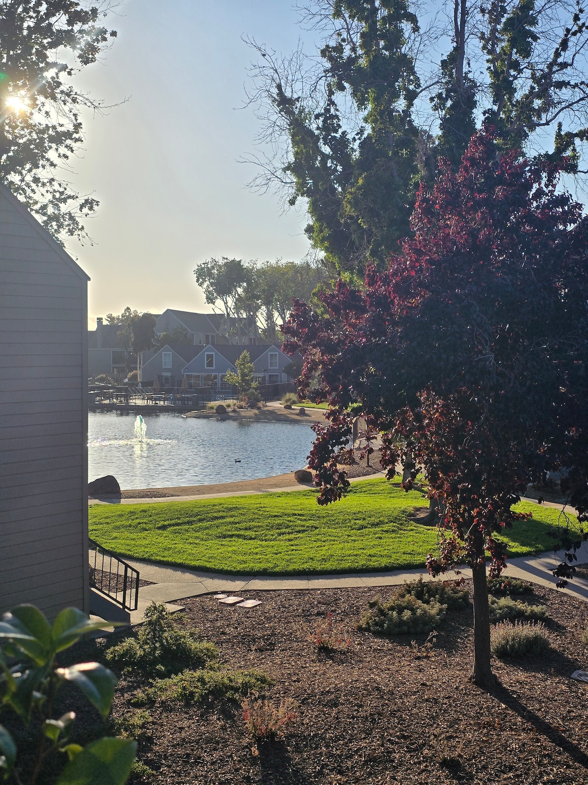 A serene view of a landscaped area beside a lake is framed by lush greenery. The clear sky reflects the sunlight, illuminating the surrounding residential buildings. A gentle path winds along the grassy shore, offering a peaceful atmosphere for outdoor relaxation.