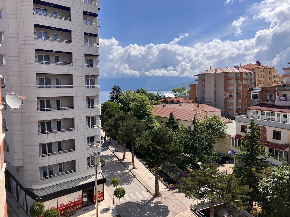 A view from the balcony showcases a busy street below, lined with trees and buildings. Beyond the cityscape, the calm waters of the lake glisten under a partly cloudy sky. The scenery conveys a peaceful urban atmosphere with a blend of natural greenery.