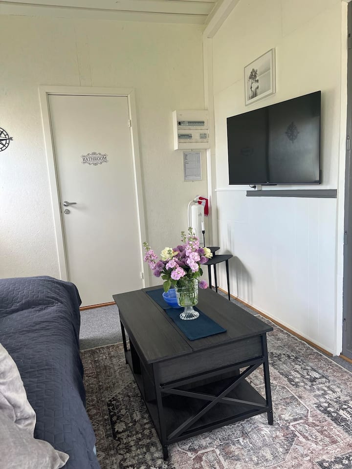 Sofá cama con acceso a TV.