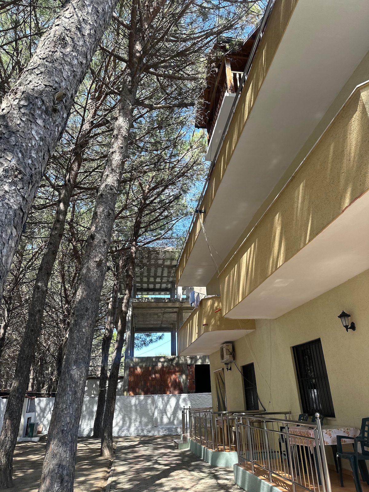 The exterior of a multi-story building is surrounded by tall pine trees, providing a natural shade. A balcony can be seen on the second floor, while a small seating area with chairs is visible in the foreground, complemented by the ample sunlight filtering through the trees.