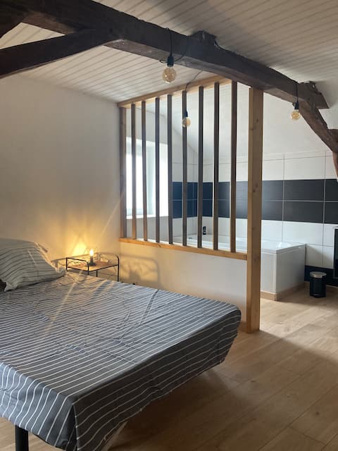 Character house with terrace