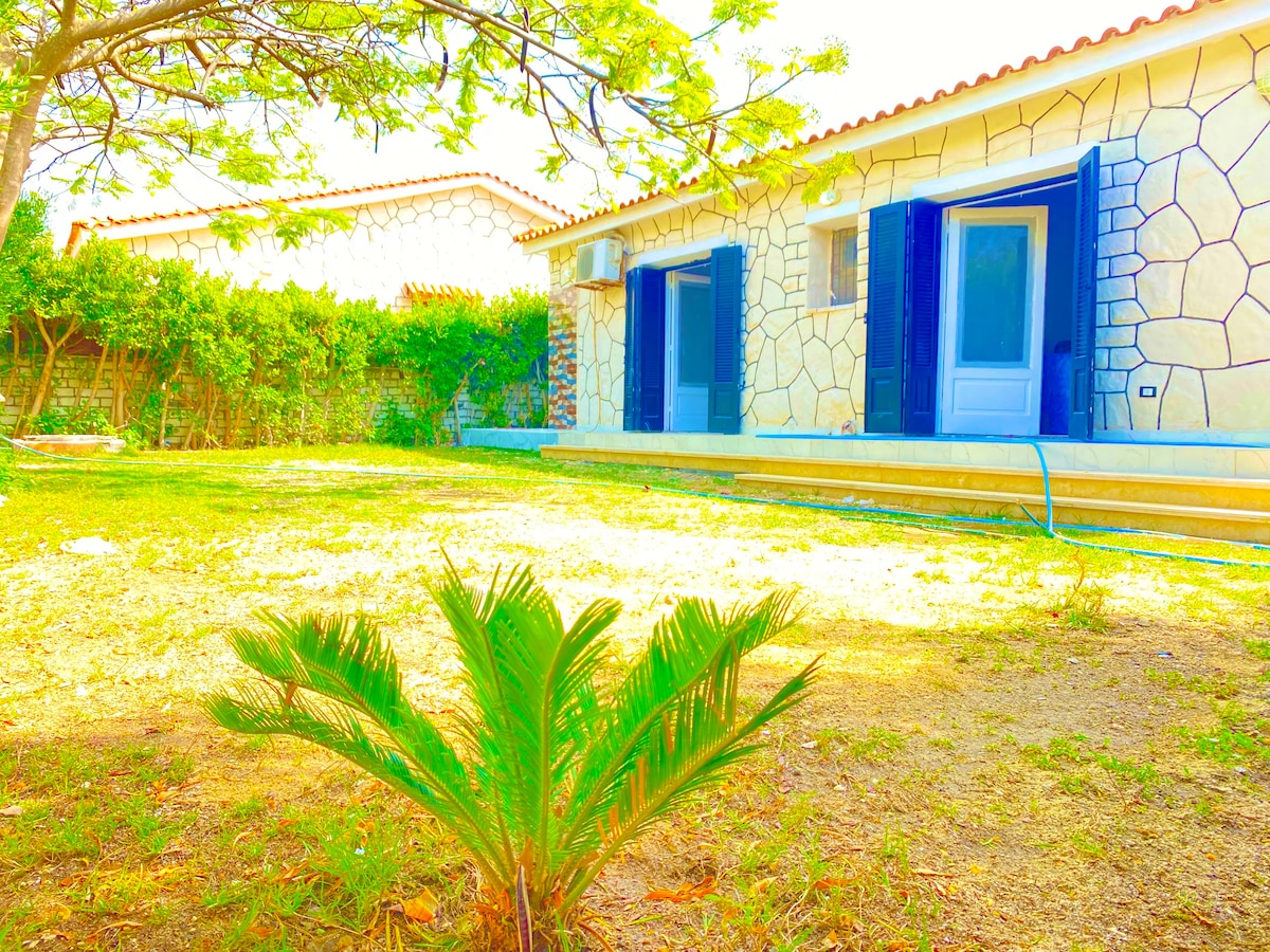 A well-maintained exterior of a stone house is displayed, featuring blue shutters and a small palm plant in the foreground. The surrounding grassy area is highlighted by a variety of greenery, with a pathway leading to the entrance.