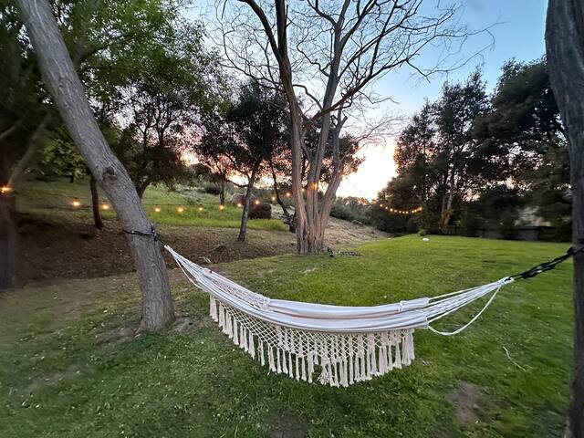 The Mod House – Home with Mountain VIEWS gallery image 2