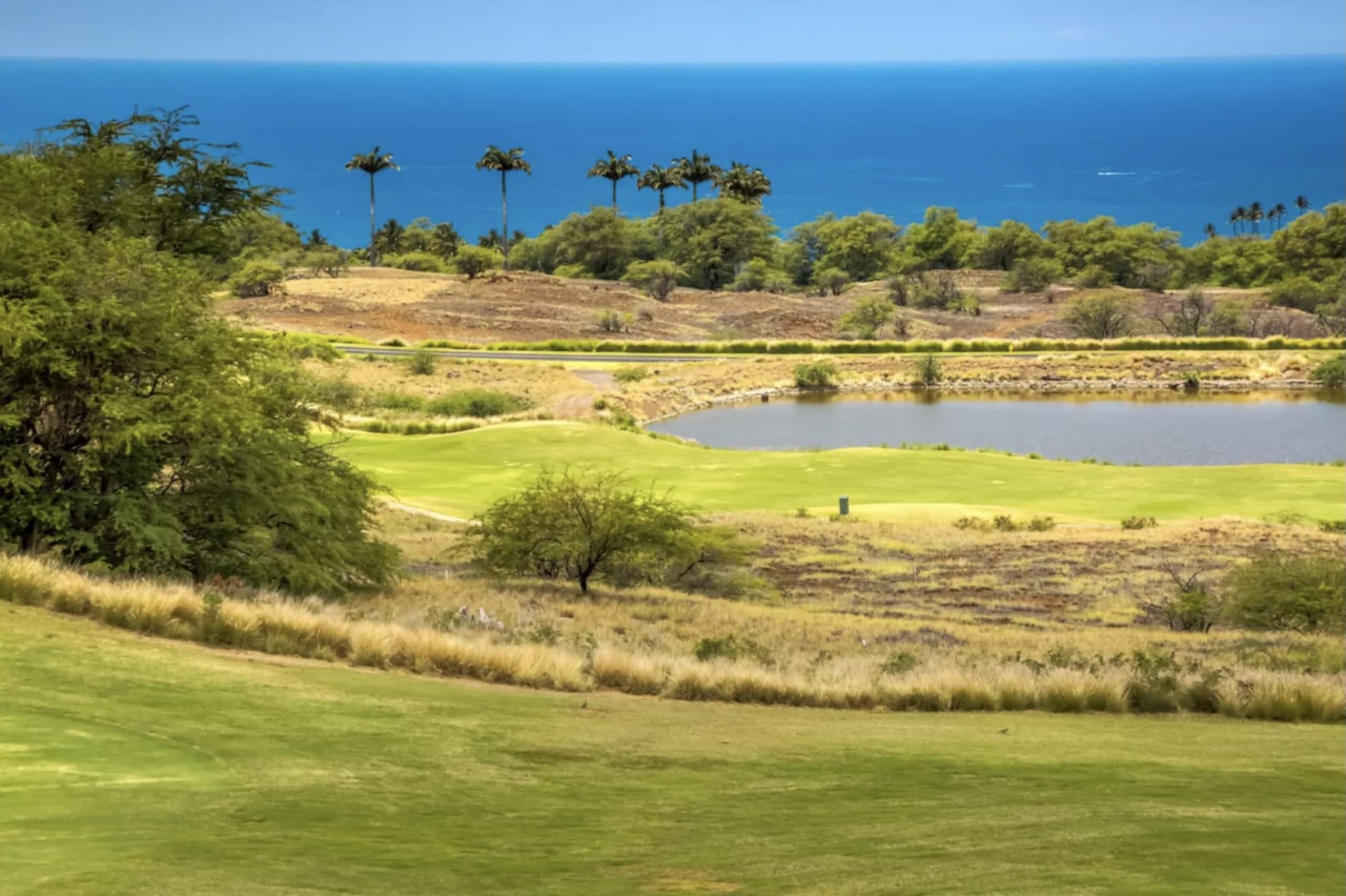 PiH: MaunaKea Palms~ Near Stunning MaunaKea Resort - Photo 29