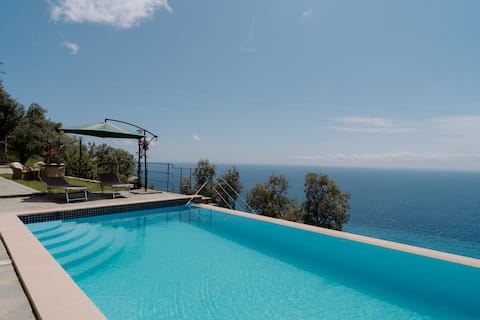 Private house and pool, sea view, olive garden!