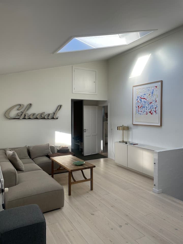 Architectural One-of-a-kind Home With Sunny Garden - Kopenhagen