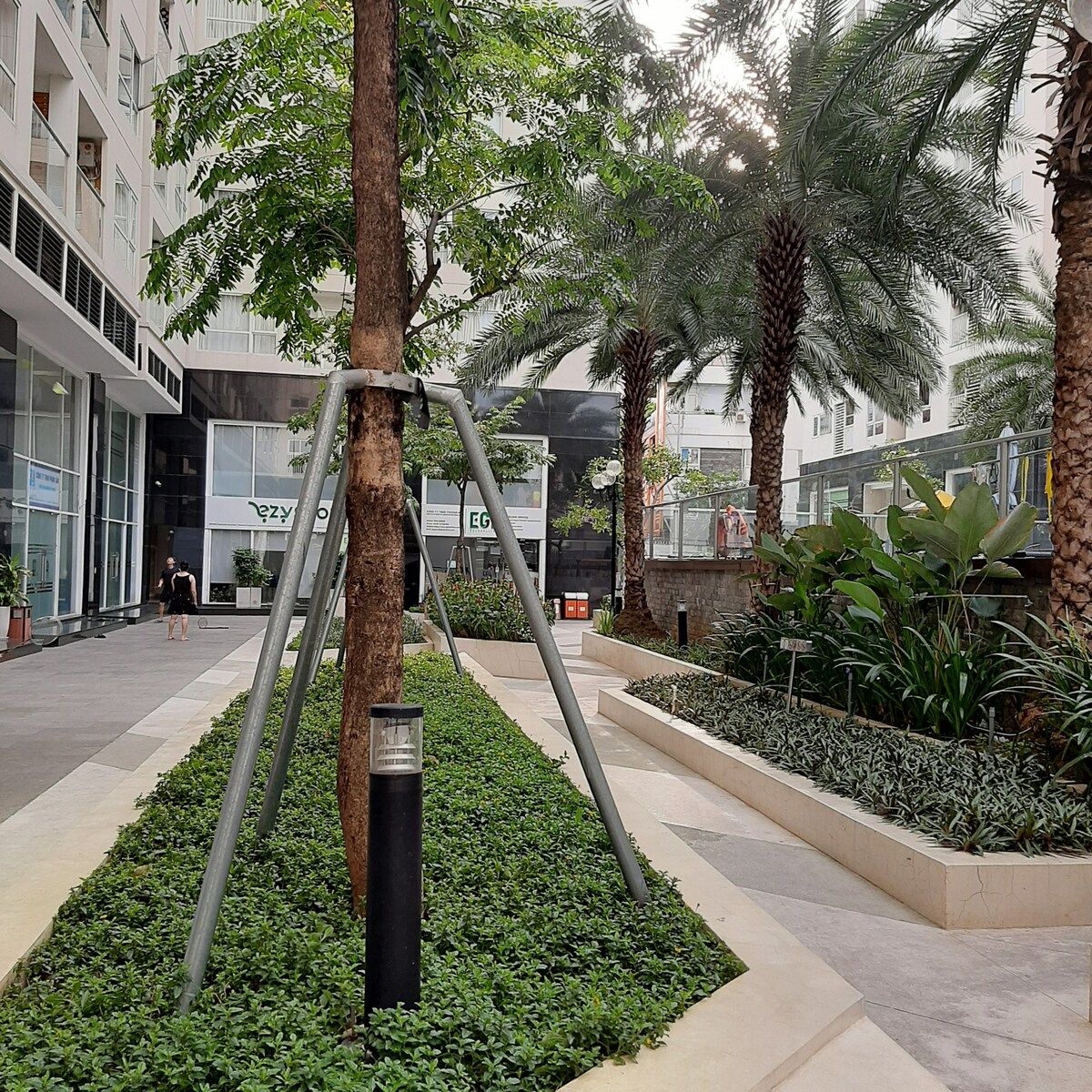 A landscaped courtyard is presented, featuring lush greenery, palm trees, and linear planters. A sturdy tree is supported by a metal frame, with a pathway leading to nearby structures. The area invites relaxation with a calm and serene atmosphere.