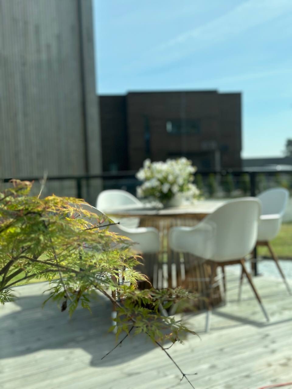A modern outdoor dining area is visible, featuring a round table surrounded by several white chairs. A plant with delicate leaves is in the foreground, while a building with wooden siding stands in the background under a clear blue sky.