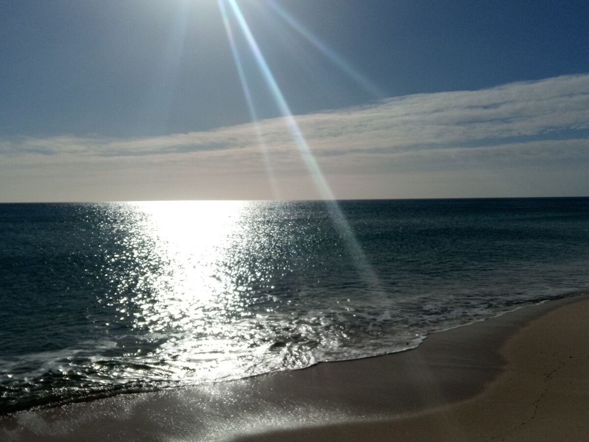 A serene beach scene captures the expansive ocean under a clear blue sky. Sunlight reflects off the water's surface, creating a shimmering effect. Gentle waves cascade onto the sandy shore, emphasizing the tranquil atmosphere of this coastal setting.