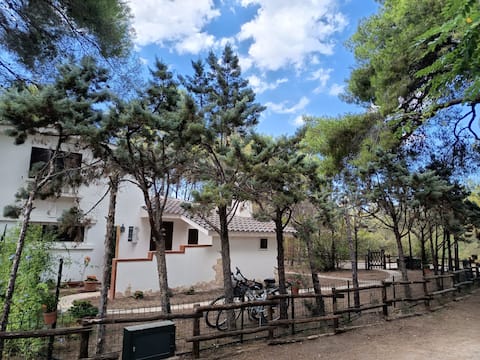 Relaxation, nature and immense beaches