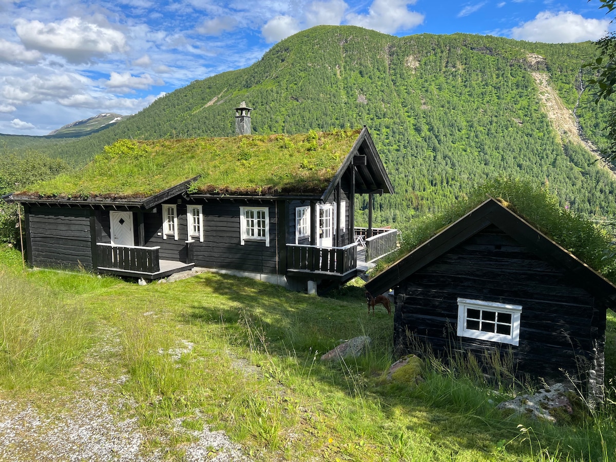 A charming black wooden cabin features a green tufted roof and spacious front porch. Tall trees and rolling hills surround the cabin, while a smaller adjoining structure is visible in the foreground. The landscape is characterized by lush greenery and clear blue skies.