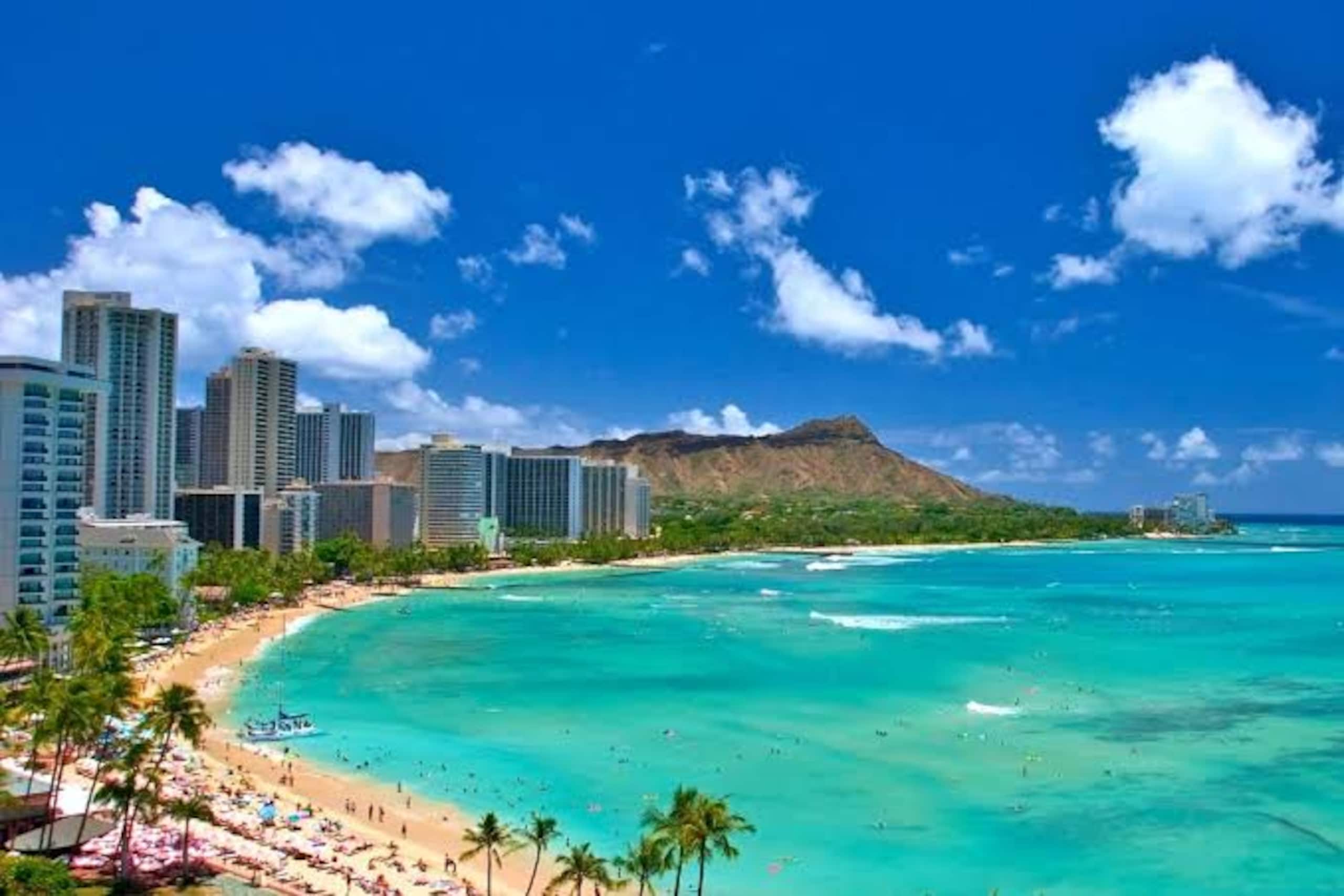 Condo in Honolulu · ★4.63 · 1 bedroom · 2 beds · 1 private bath - Image 19