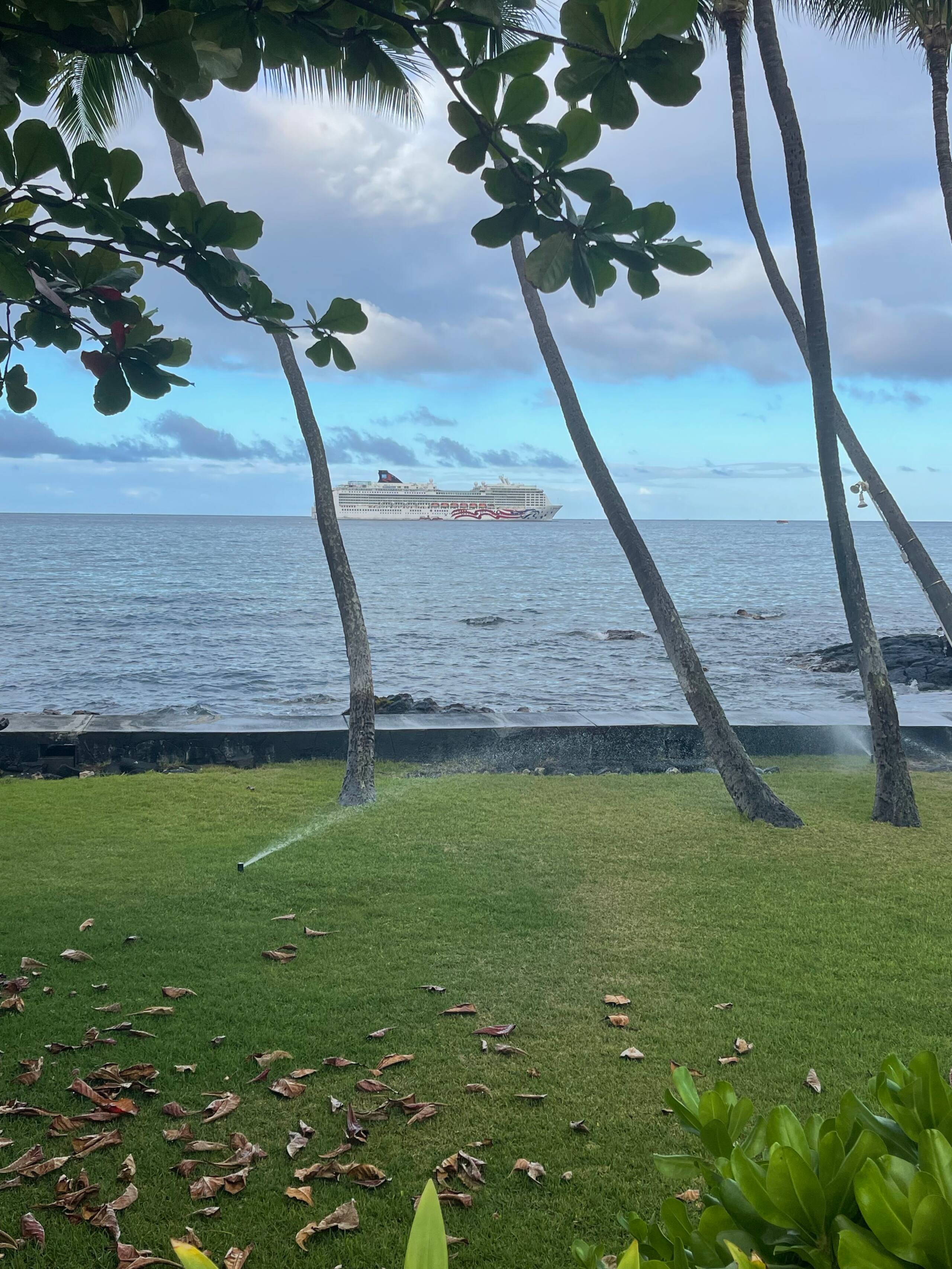 Condo in Kailua-Kona · ★4.89 · 1 bedroom · 1 bed · 1 bath - Image 36