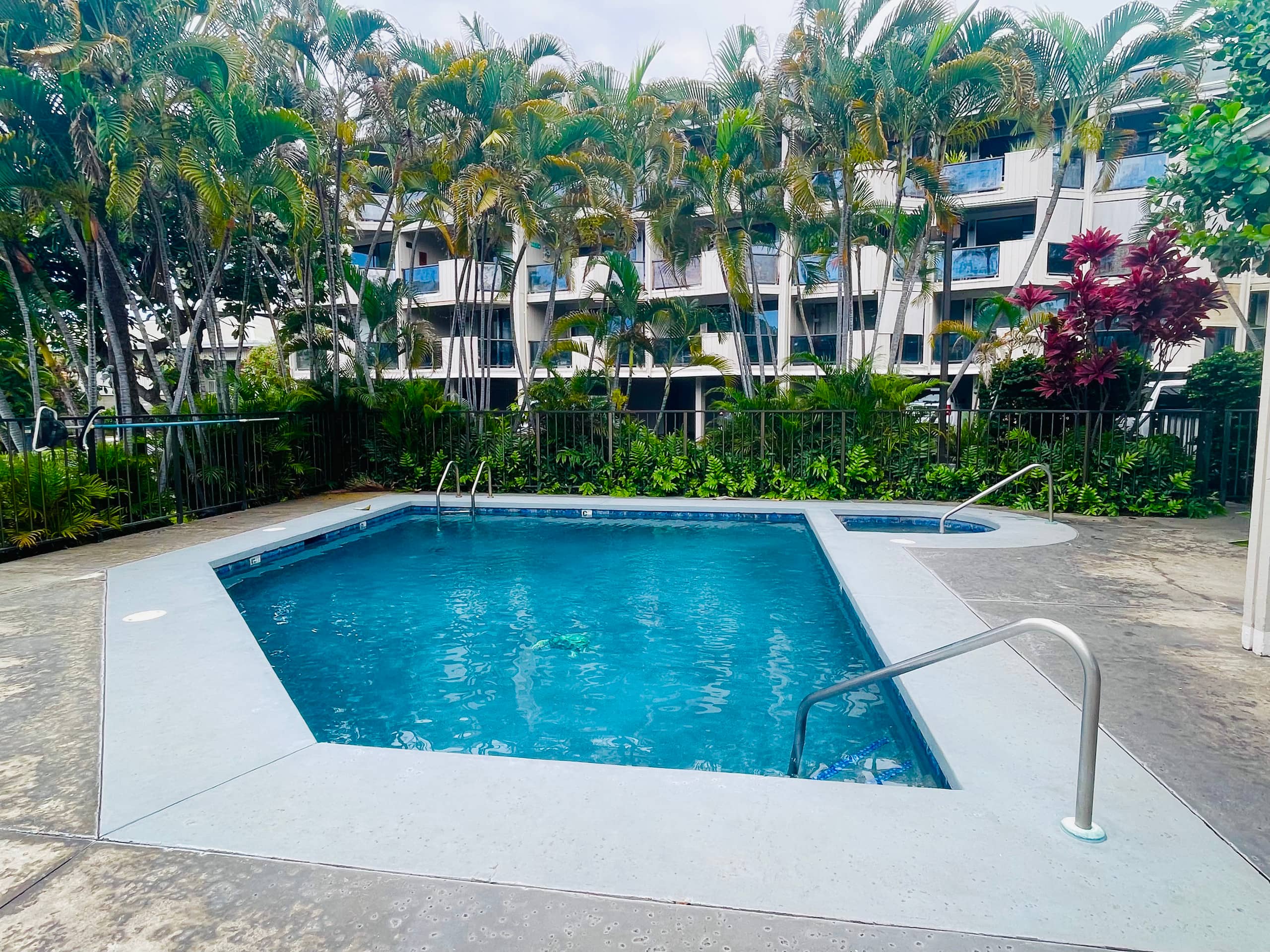 Condo in Kailua-Kona · ★4.89 · 1 bedroom · 1 bed · 1 bath - Image 28