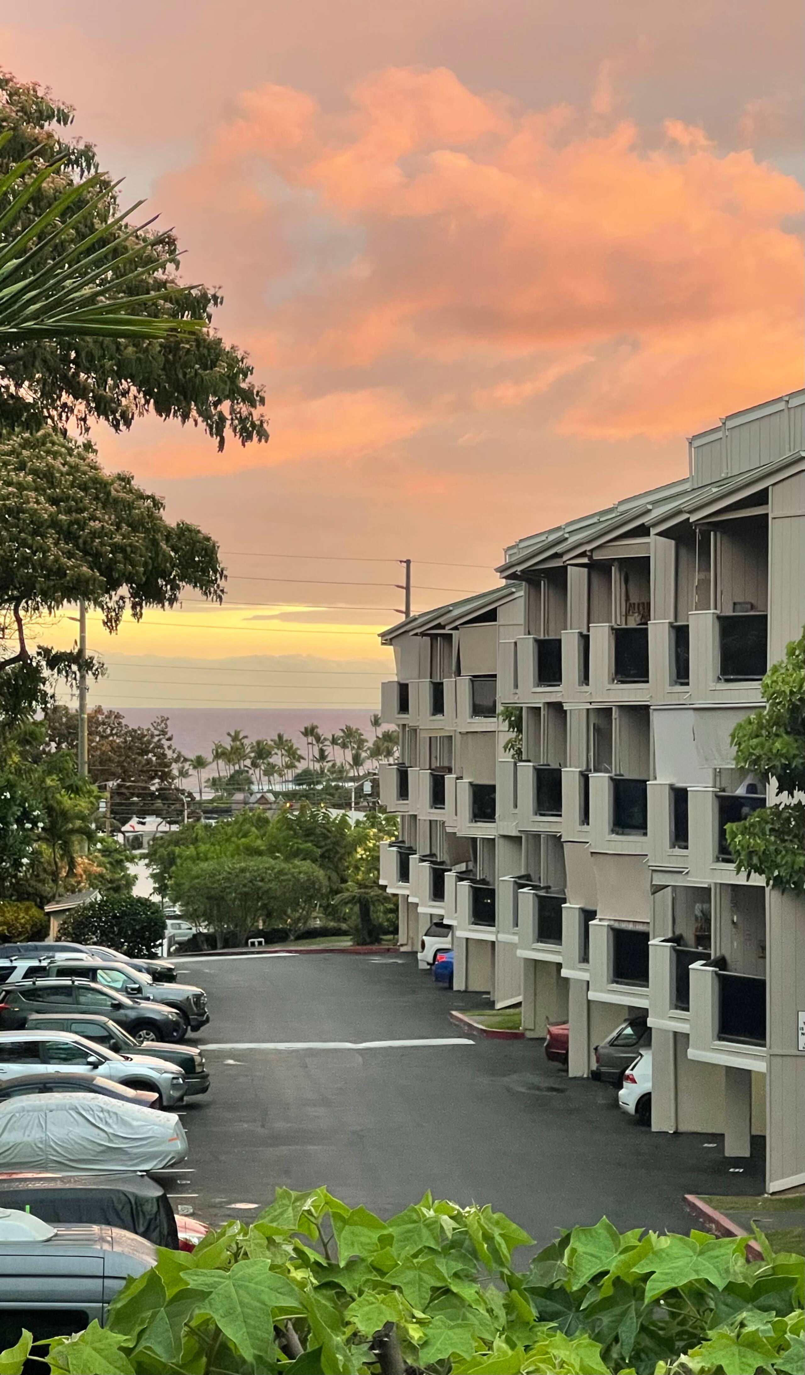 Condo in Kailua-Kona · ★4.89 · 1 bedroom · 1 bed · 1 bath - Image 18