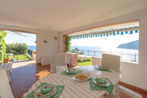 Amazing view with garden