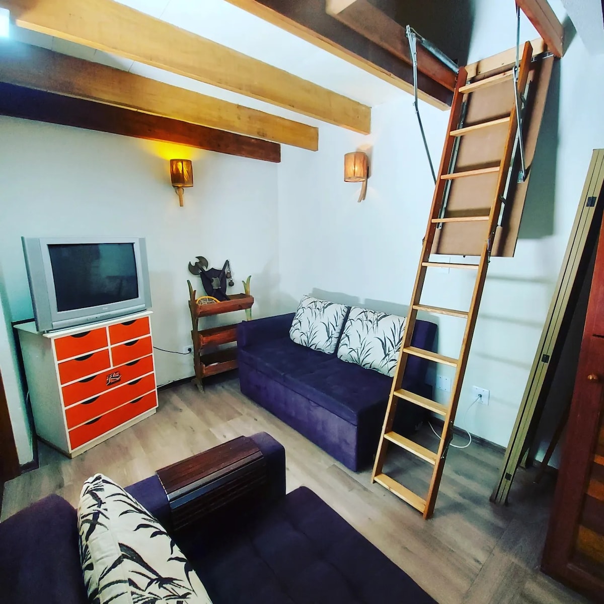 الصالة، بجانب الفناء الخلفي