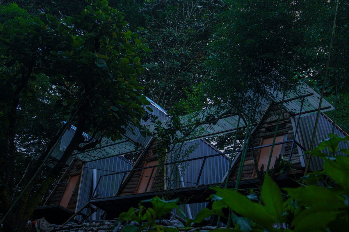 An A-frame cabin nestled among tall trees features a mix of metal and wooden panels. Large windows allow for natural light to filter through, with a lush green landscape surrounding the structure, enhancing the peaceful atmosphere.