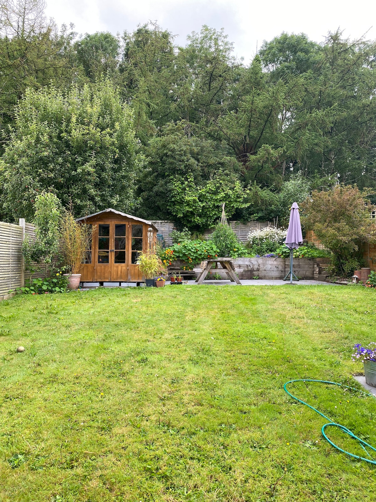 A spacious garden is depicted, featuring a wooden shed at the back surrounded by lush greenery. A picnic table is positioned on the grass, along with an umbrella for shade. Flowering plants are visible in various pots throughout the garden.