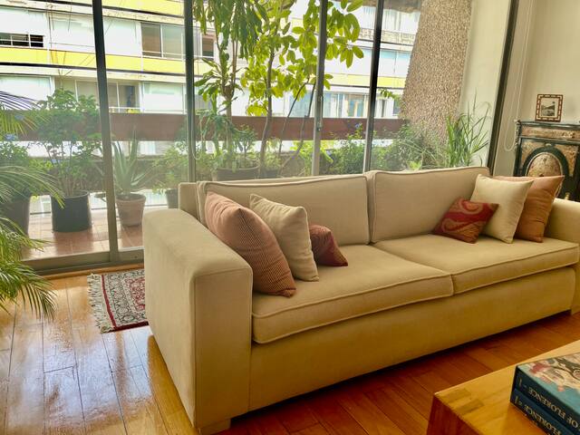 La Ciudad de México a tus pies gallery image 2