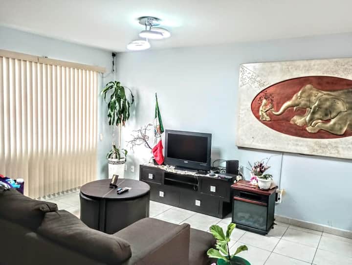 Casa Cómoda Para Trabajo Y Descanso, Aeropuerto - Celaya