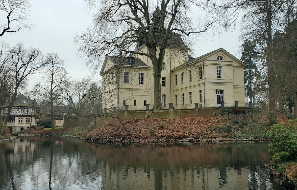 A historic building is situated beside a tranquil pond, reflecting its elegant facade. Surrounding trees and leaf-covered ground emphasize the natural setting, contributing to a serene atmosphere. The structure features large windows and a distinct architectural style, complementing the peaceful surroundings.