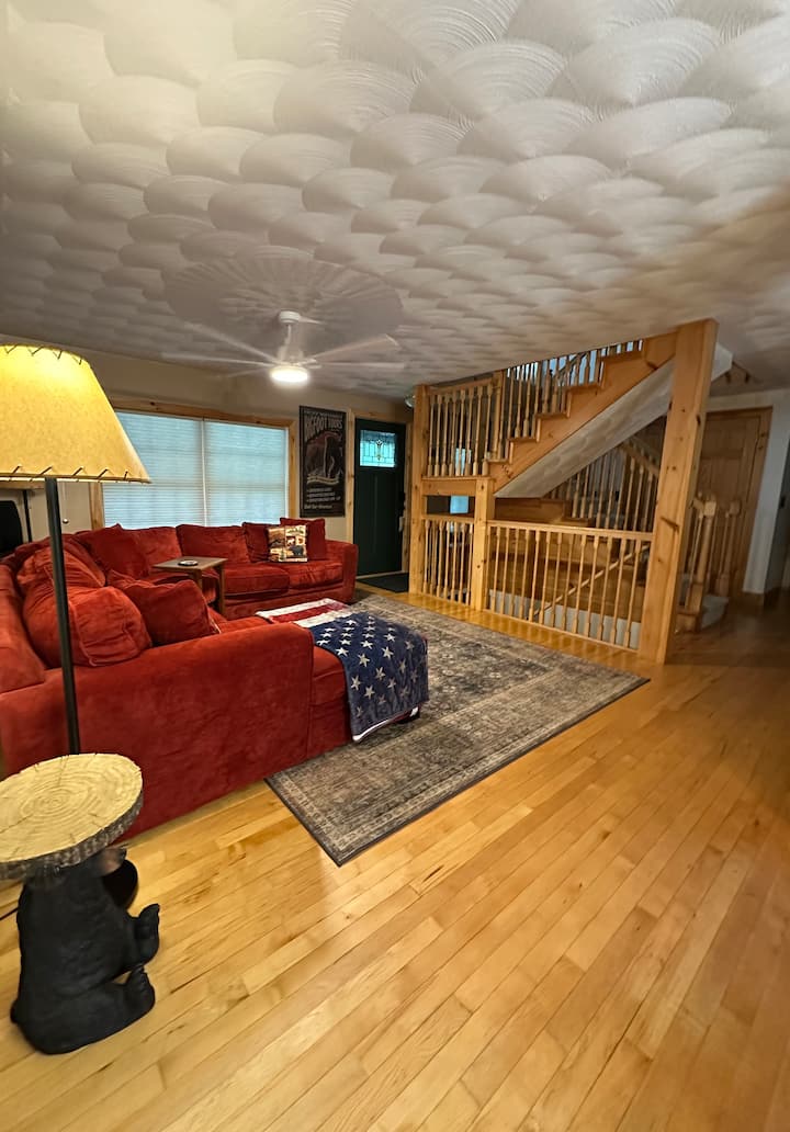 Mountain Cinema Home - Old Forge, NY
