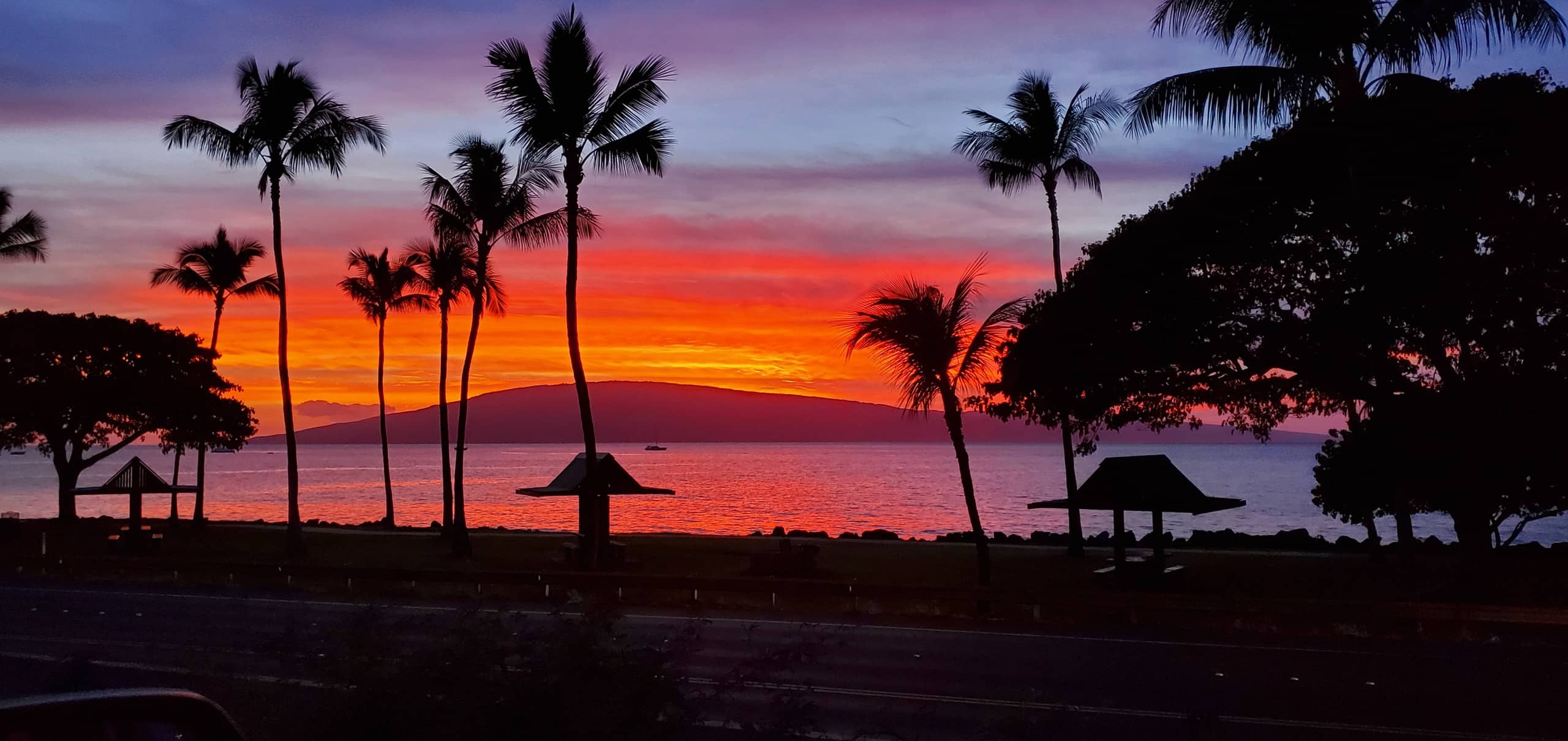 Condo in Kihei · ★4.91 · 1 bedroom · 1 bed · 1 bath - Image 49