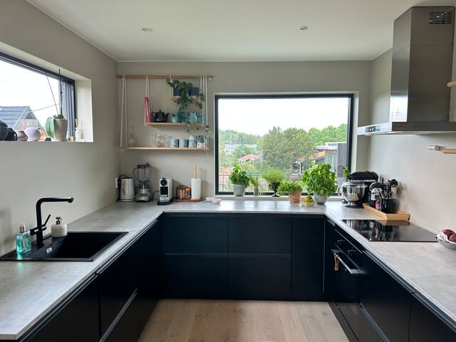 Great new town house gallery image 4