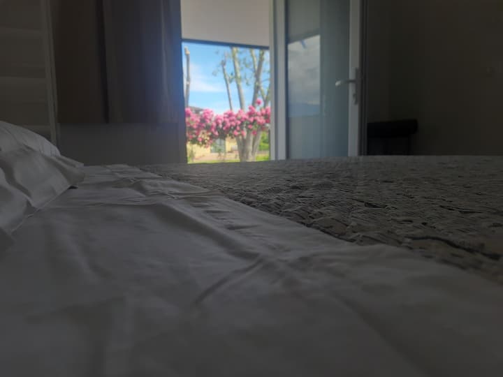 Camera Marina - Massa