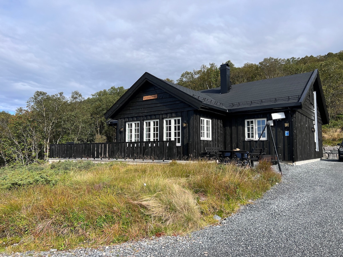 A black wooden cabin is situated amidst natural surroundings, featuring multiple windows that provide ample light. A spacious terrace extends along the front, complemented by a gravel pathway leading to the entrance. Green foliage and scenic hills are visible in the background.