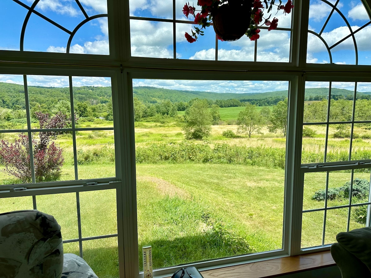 A spacious window frames a scenic view of rolling hills and lush green meadows. Rich greenery extends into the distance, with trees dotting the landscape under a bright blue sky partially covered by fluffy white clouds.