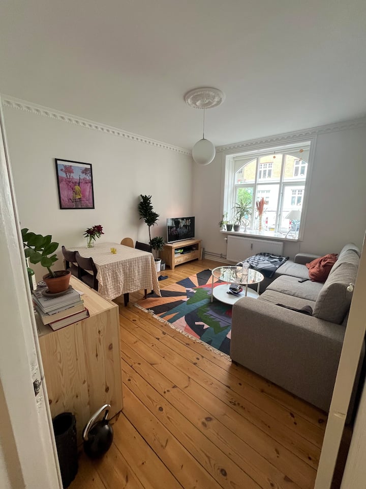 Hyggelig Nørrebro Lejlighed - Copenhagen
