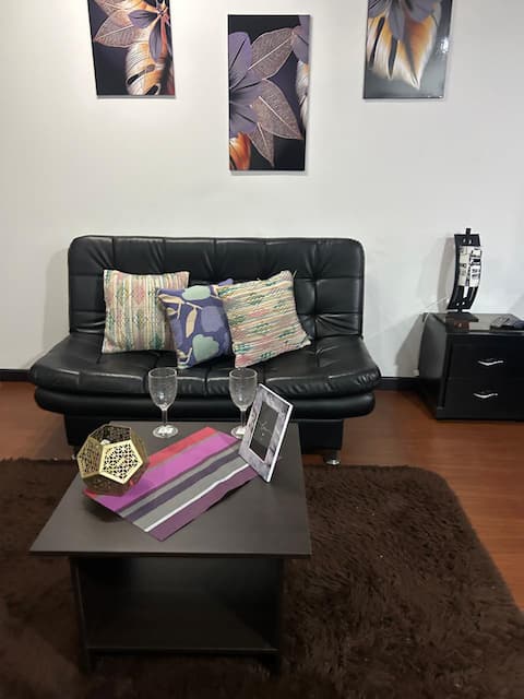 Successful Airbnb property: New central loft, Santa Isabel, Modern, Smart, 5 people in Los Mártires
