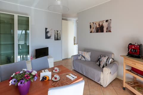 Casa Verina - Colorful balconies - Quattromiglia