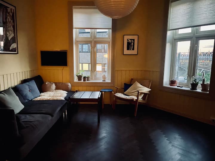 Sjarmerende Og Sentral Treroms - Oslo