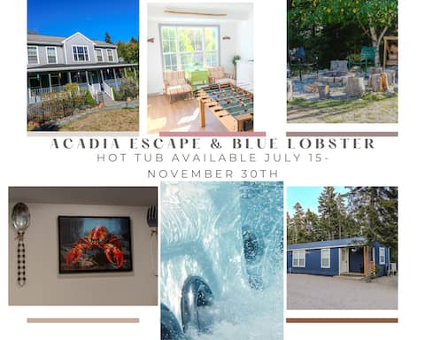 Blue Lobster & Acadia Escape