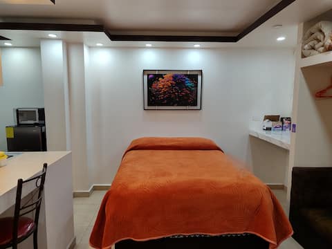 Cozy and comfortable apartment, GO&CI available