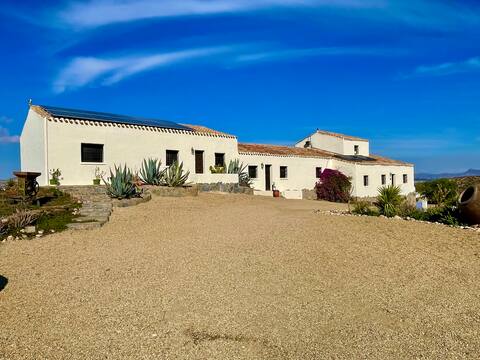 Mi’Luna Oasis Suites (The Olive Apartment )