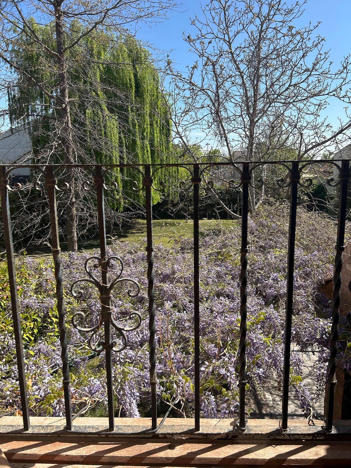 A wrought-iron balcony railing frames a view of a blooming garden. Purple flowering plants cover the ground, contrasting with the greenery of trees in the background. Bright blue skies are visible, enhancing the scene's vibrant atmosphere.