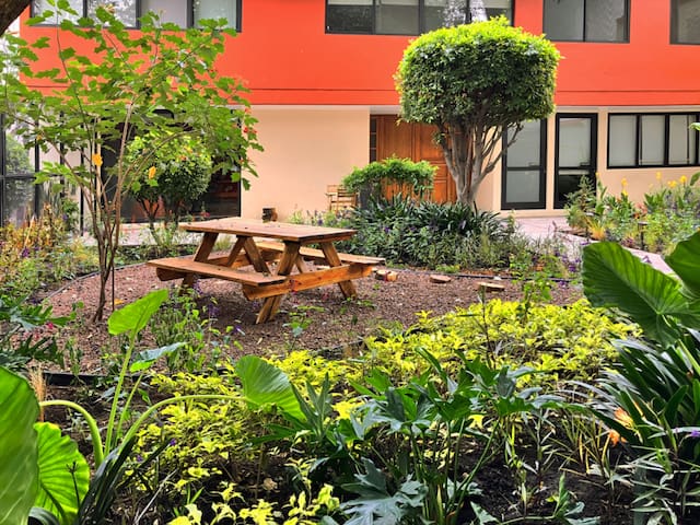 Retreat in Coyoacan: Space and Nature