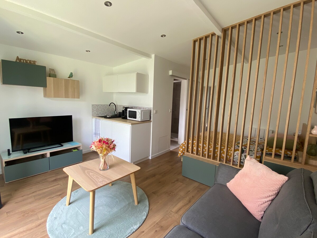 A bright living space is shown, featuring a compact kitchen area with a microwave, refrigerator, and sink. A television is positioned on a low cabinet, with a small coffee table in the center and a comfortable sofa. The sleeping area is separated by a wooden screen.