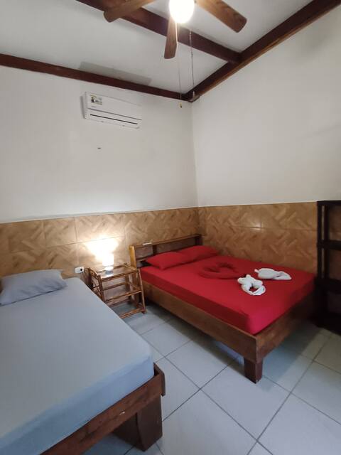 Hosting + 3 Excursions