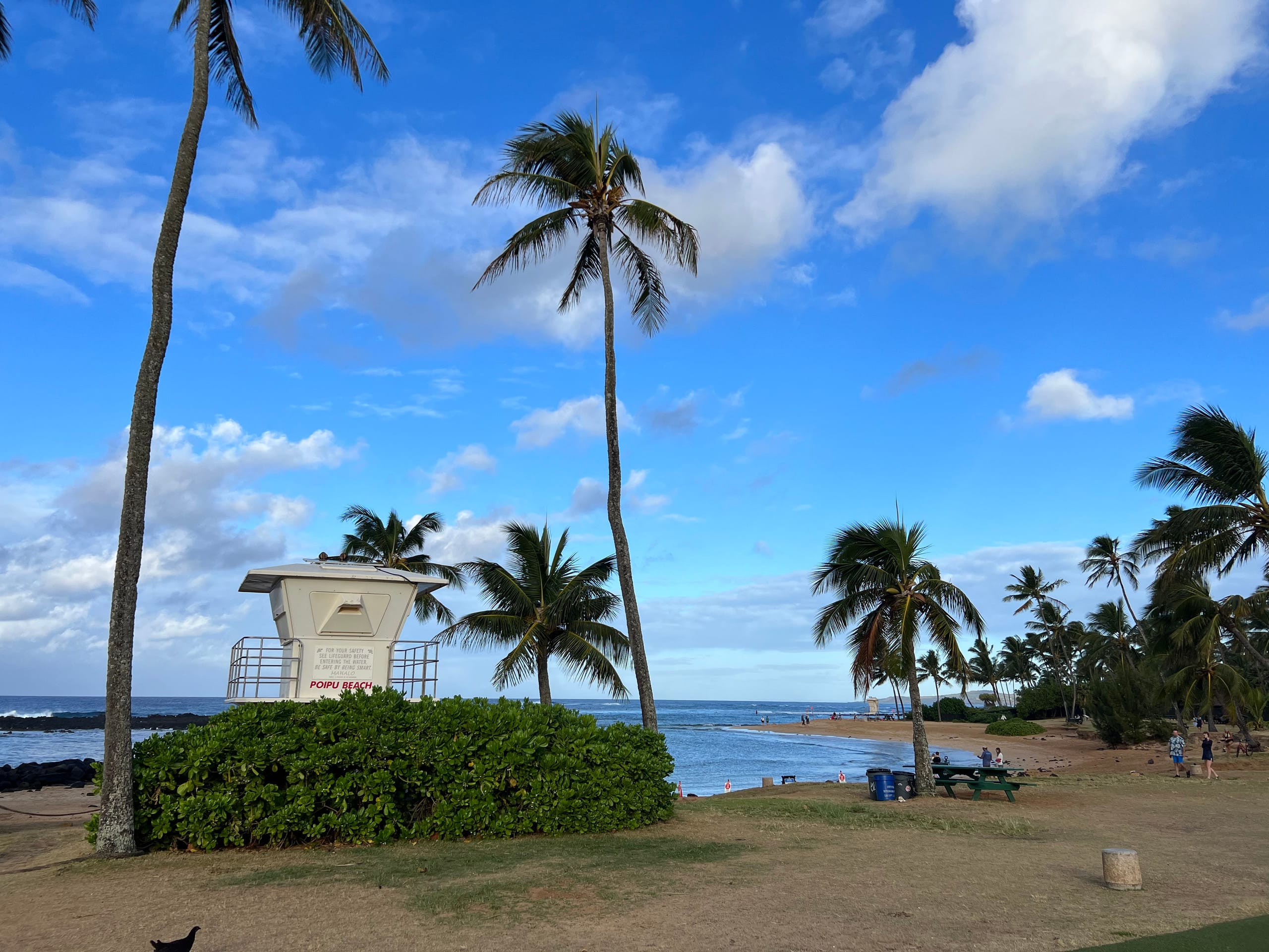 Kiahuna, AC, Partial Ocean View, Family Friendly - Photo 67